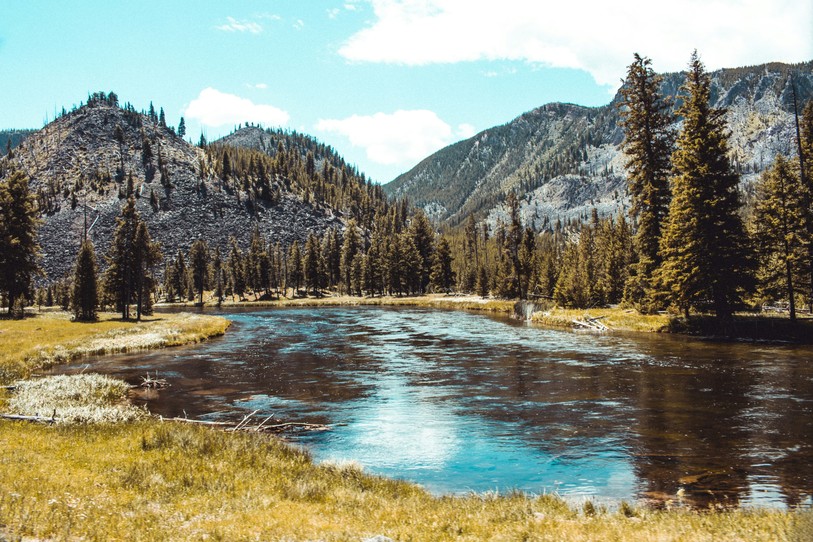 Le parc national de Yellowstone est beau, mais aussi « bizarre ». Photo : unsplash