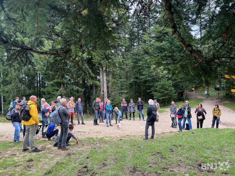 L'ingénieur forestier Hernst Zürcher a donné sa conférence lors d'une randonnée entre le Noirmont et Saignelégier, au coeur de la nature des Franches-Montagnes.