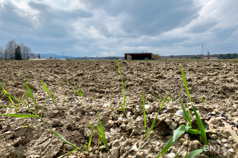 L’association Avenir du Pays des Trois-Lacs sera créée ce vendredi pour imaginer le futur du plus grand potager de Suisse.