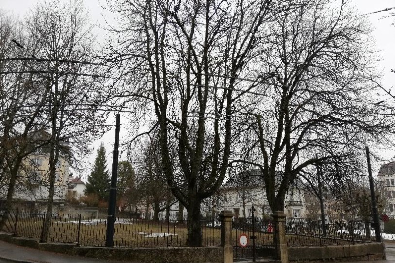 Le parc est amené à disparaître dans le cadre du projet du Zoo-musée.