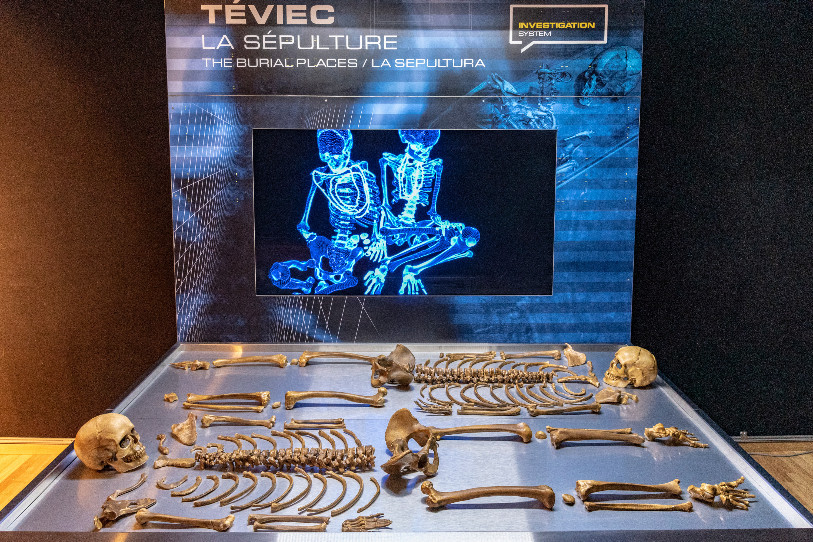 L'exposition propose au public de découvrir diverses techniques d'enquête scientifique.