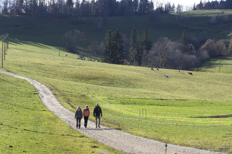 L'association Les chemins du bio organise des séjours itinérants depuis 2012. (Photo : Les chemins du bio)