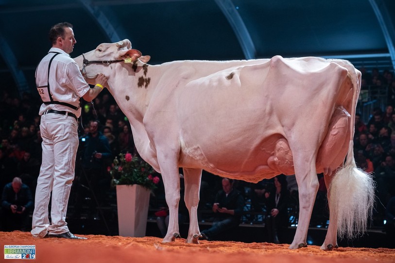 Au classement des nations, la Suisse termine en tête devant la France et les Pays-Bas. (Photo: thebullvine.com)