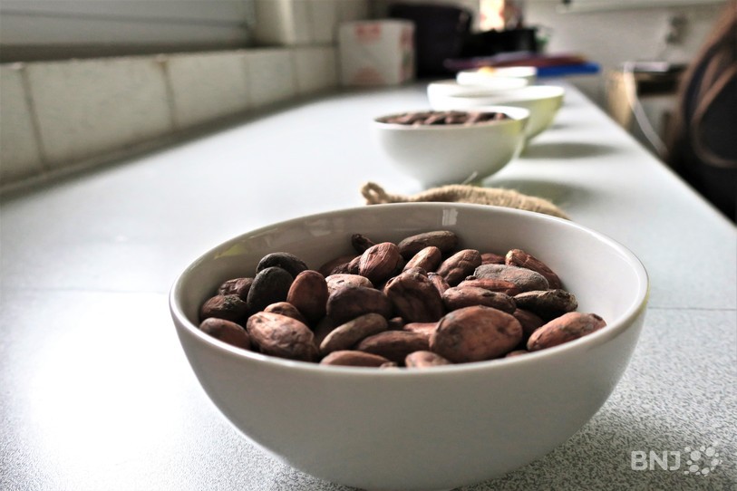 Fèves de cacao