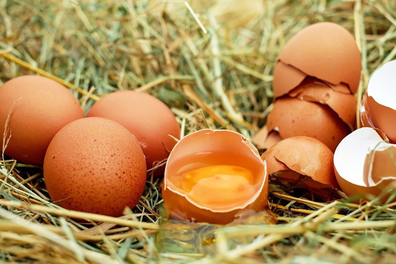 Que vous inspire l'oeuf? (photo d'illustration)