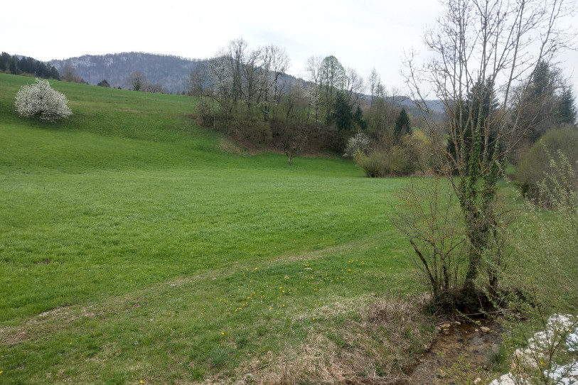 Le Festi'Lab prendra ses quartiers sur ce terrain situé au bord de la Gaibiat, à Corcelles. (Photo: Gaëtan Lab)