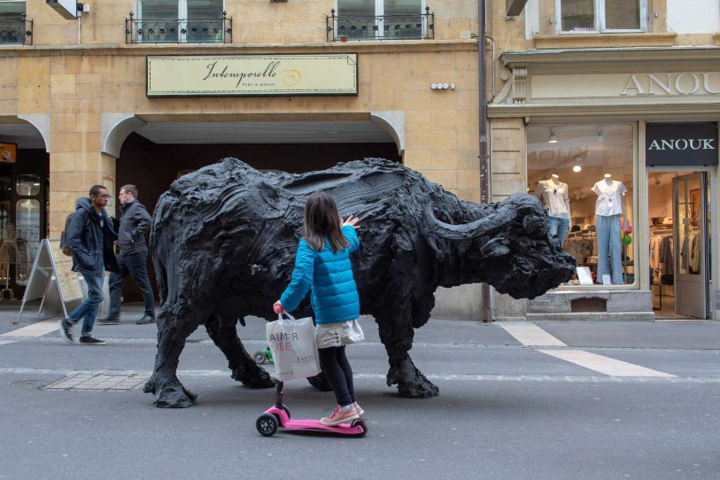 Les bufflonnes étaient installées sur la rue de l'Hôpital pendant l'exposition. Photos : SP-Ville de Neuchâtel.