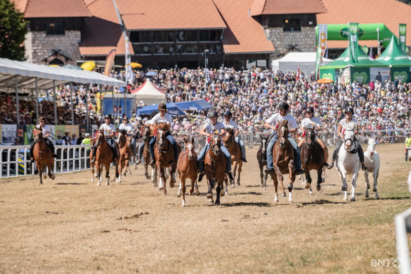 Le Marché-Concours 2022 est dans les starting-blocks. (Photo : archives/Jonathan Vallat).
