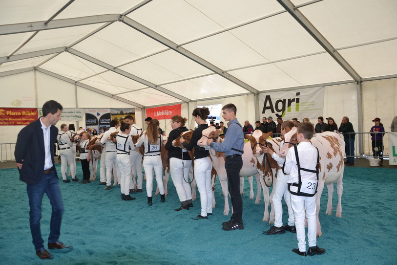 Junior Arc Expo