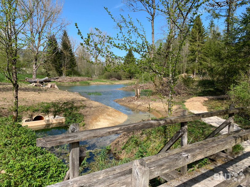 L'étang du Jardin des mineurs, à Travers.
