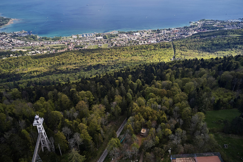 La forêt de Chaumont. (Photo : David Marchon – Atelier 333).