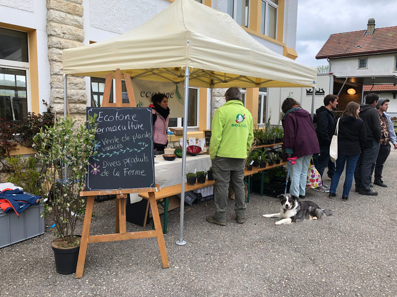 Le public est venu découvrir la permaculture samedi aux Genevez. (Photo : archives)