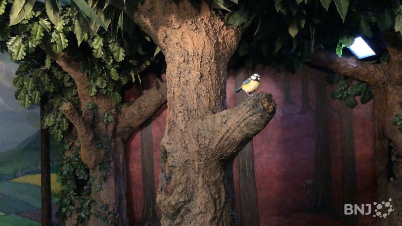 La nouvelle exposition du Pandamobile s'intéresse à la vie nocturne de nos régions.