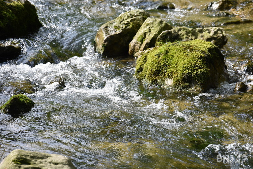 Le problème de pollution d'un cours d'eau à Courcelon a été réglé. (Photo d'illustration).