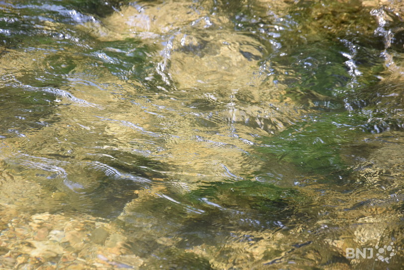 Les micropolluants peuvent se retrouver dans les eaux, par ruissellement ou drainage. (archive)