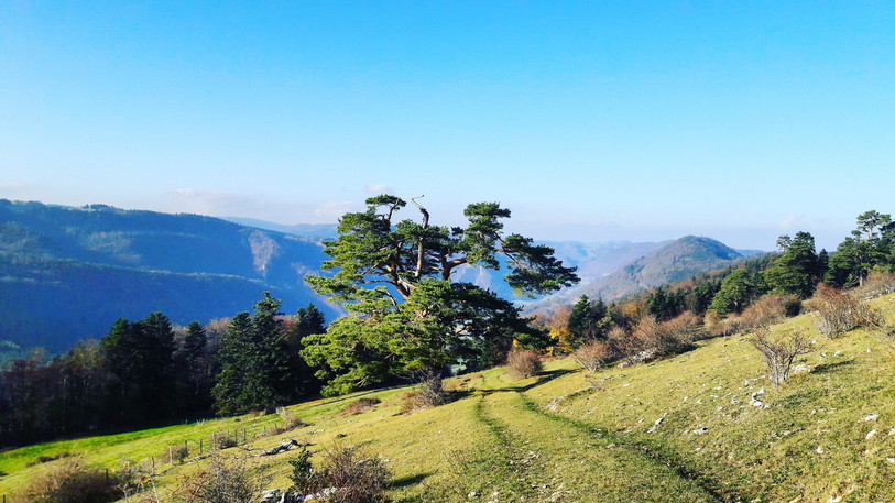 Les escapades permettent d’admirer les splendeurs des paysages de Soulce et d’Undervelier. (Photo : Jura Tourisme).