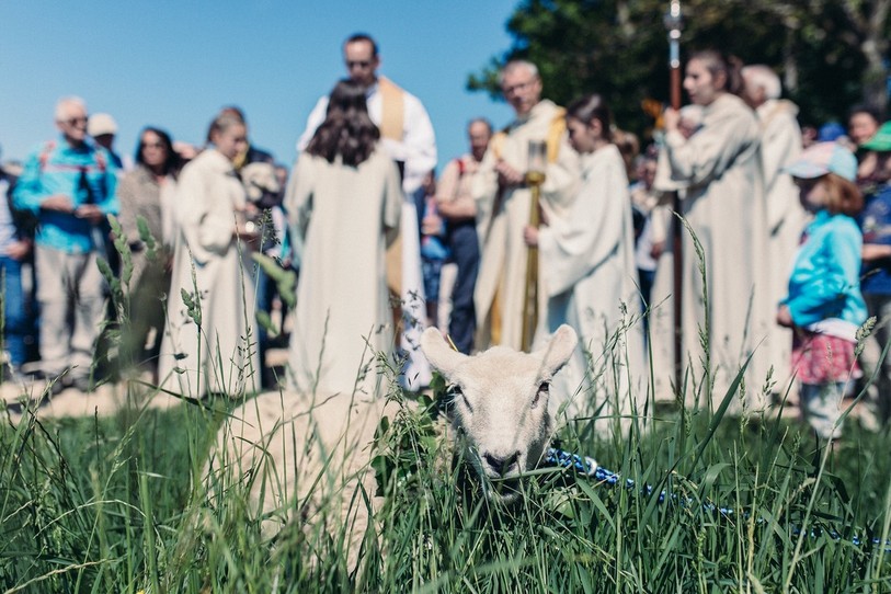 Parmi les animaux qui ont été bénis en cette Saint Fromond, un mouton. (Photo : Vincent Muller)