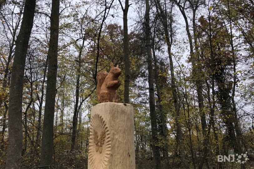 Un sculpteur a transformé un tronc à l'entrée de la chênaie à la Tène. (Photo : archives)