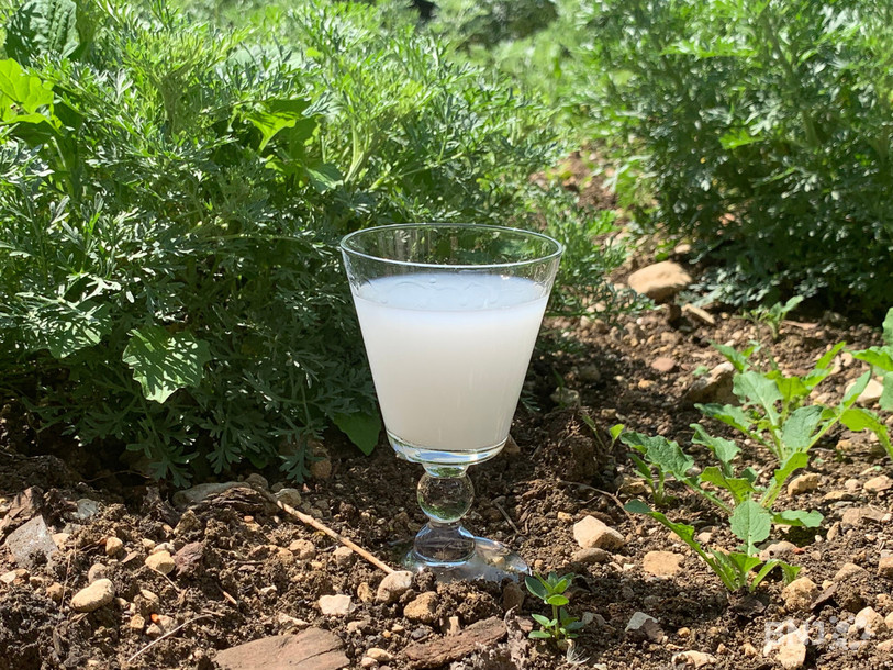 Le tribunal administratif fédéral estime que certains petits producteurs d'absinthe n'ont pas été complètement entendus.