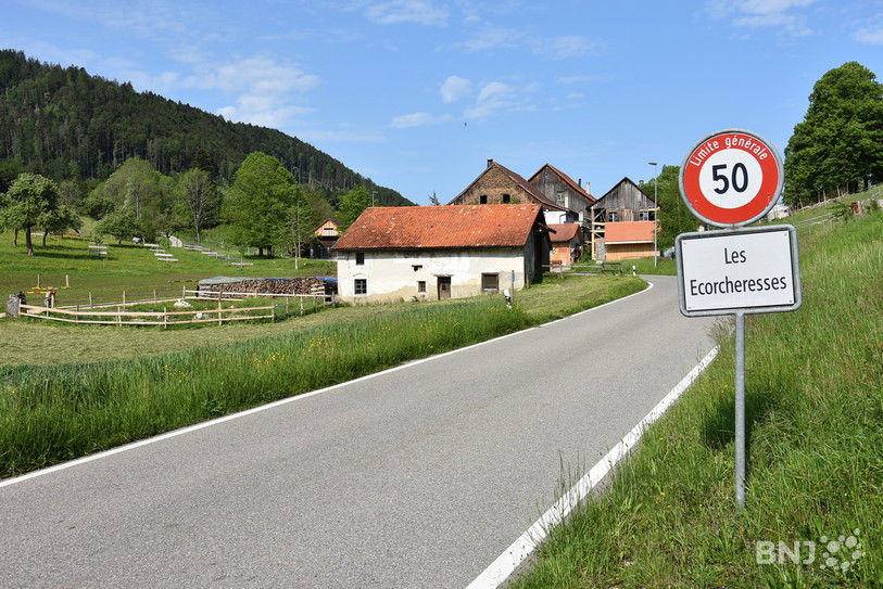  Le jeune conducteur a dépassé la limitation de plus de 60 km/h. (Photo : archives).