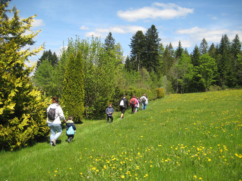 Photo : Parc du Doubs