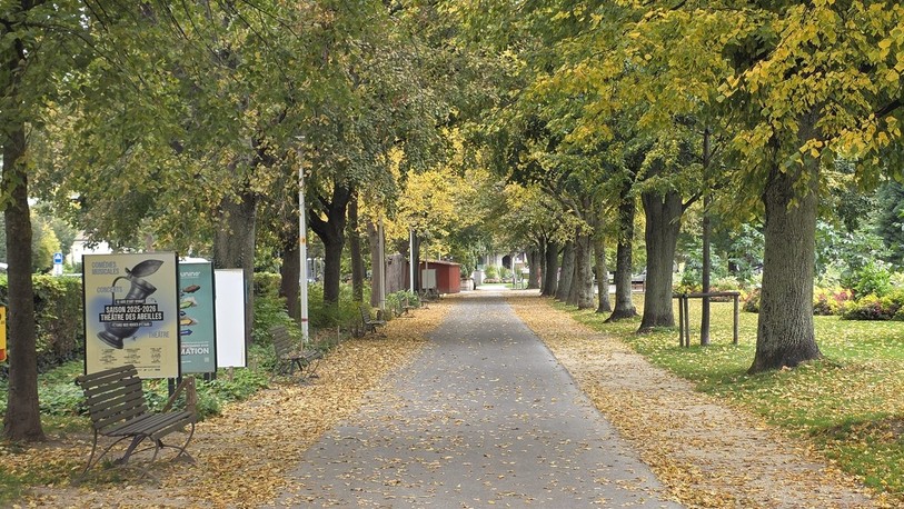 Du 5 au 23 décembre, le Jardin anglais verra des cabanons envahir son allée à l’occasion du marché de Noël de Neuchâtel.