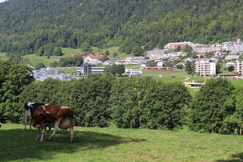 L'enquête s'intéresse aux notamment à la place de St-Imier au sein du Parc Chasseral. (Photo : Parc Chasseral)