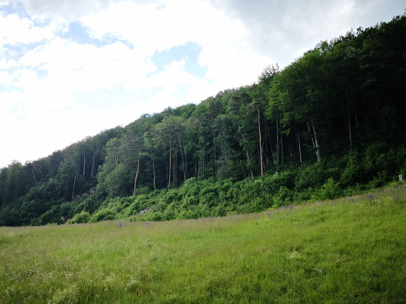 Le site du Bambois tel qu'il est aujourd'hui (photo Maël Bourquard, Office de l'environnement)