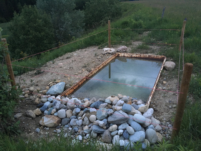 Projet pilote pour la sauvegarde des crapauds accoucheurs. L'association pour la sauvegarde du Seyon et de ses affluents teste un nouveau système pour pallier une éventuelle fermeture des gravières. Des lieux où ce type de batraciens se sent particulièrement à l'aise.