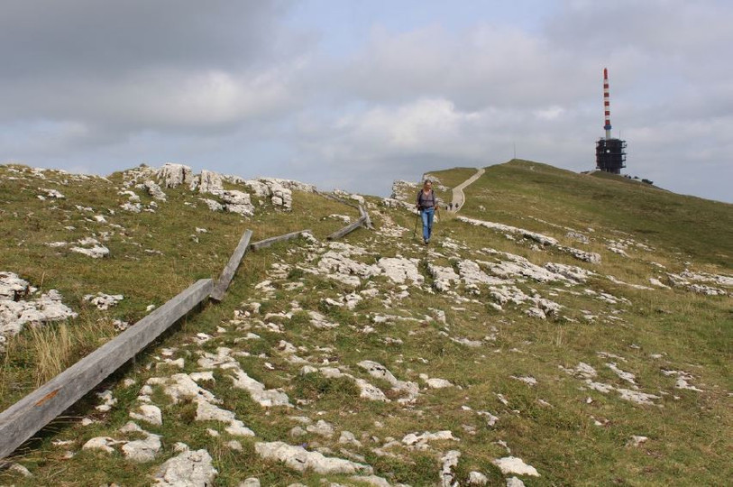 Certaines des poutres installées le long du sentier de la crête du Chasseral, ainsi que les deux panneaux d’information, ont été vandalisés ce printemps. (Photo : Parc Chasseral)