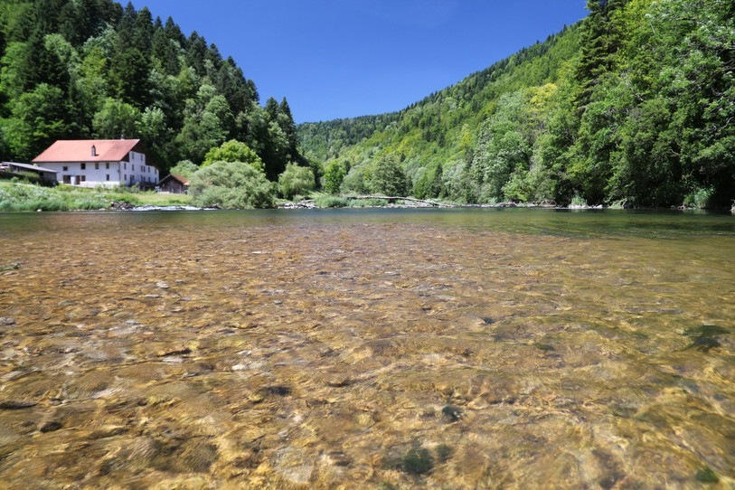 L'Office de l'environnement indique que le Doubs, particulièrement étudié l'an dernier, ne présente pas de problème majeur de qualité des eaux (photo Laure Chaignat, ENV).