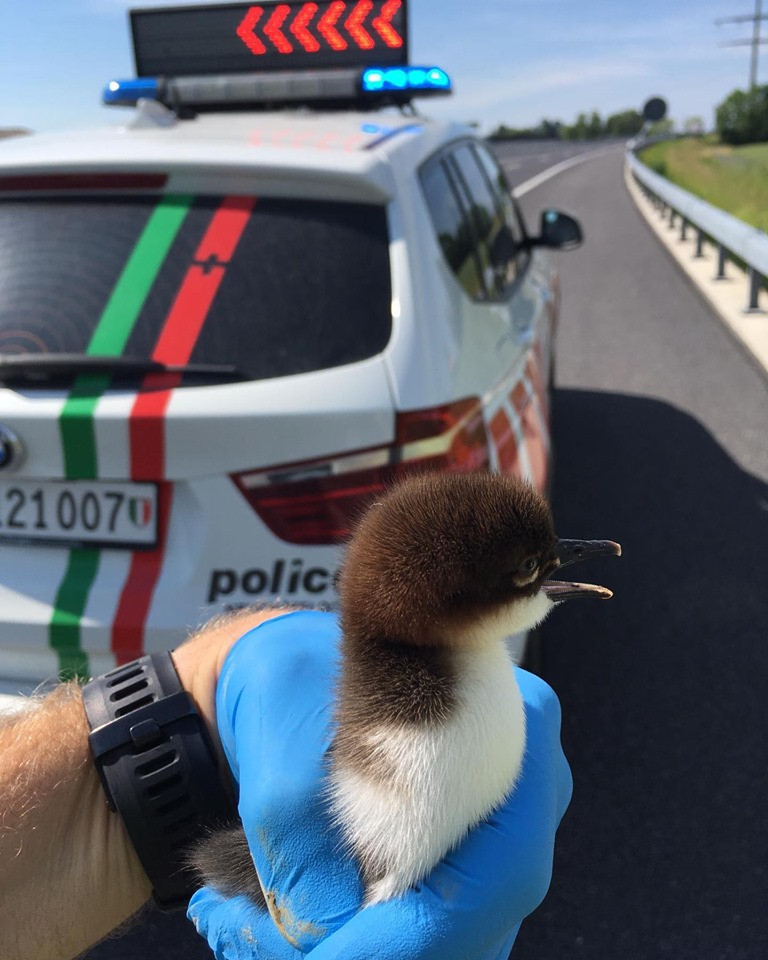Photo : page Facebook de la Police neuchâteloise