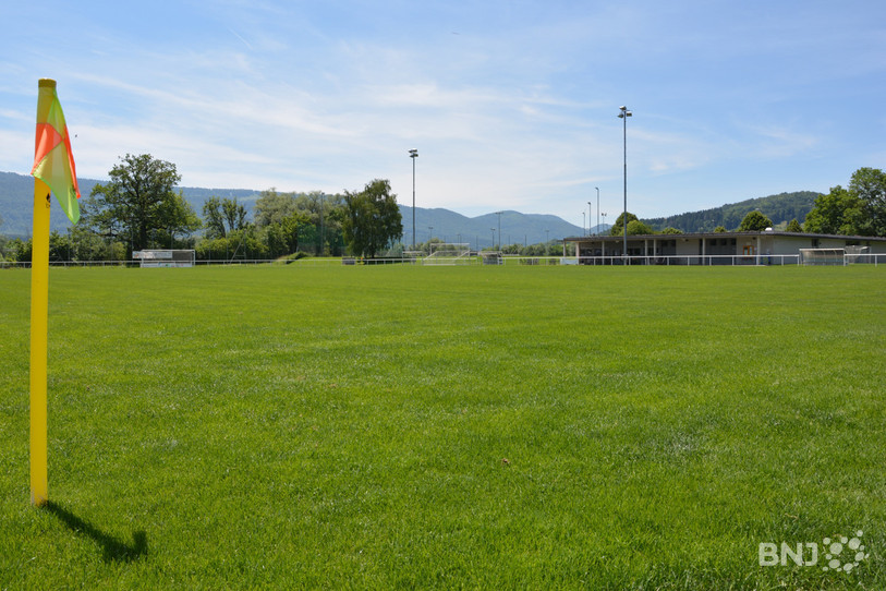 Le terrain principal des Prés-Roses devrait céder sa place à un revêtement synthétique.