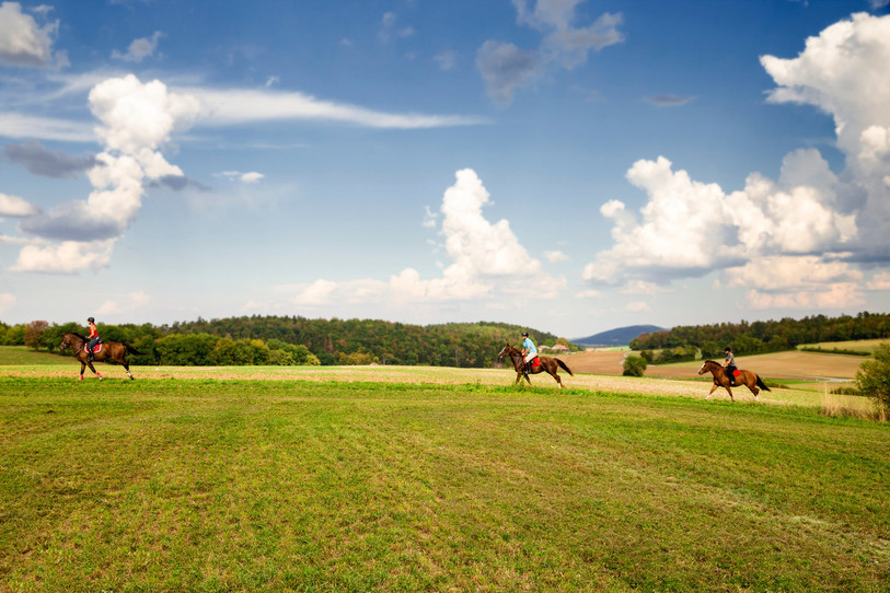 Les plaines d'Ajoie ont été prisées cet été. (Photo : Jura Tourisme)