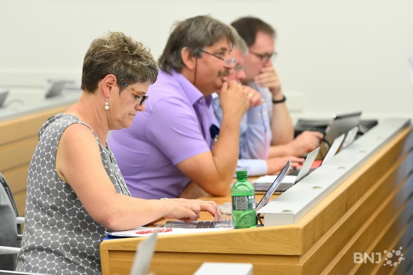 La députée PDC Anne Roy veut une simplification de la procédure de répression dans les communes (photo : archives).
