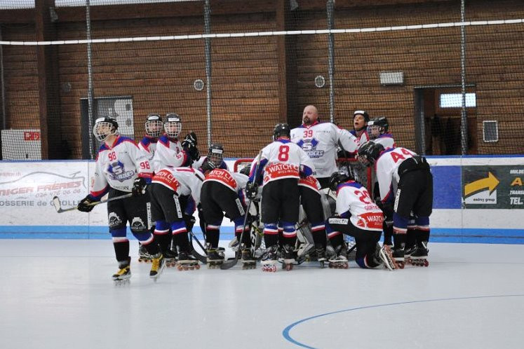 Bienne Seelanders a fait étalage de tout son talent en première période (photo : www.seelanders.ch).