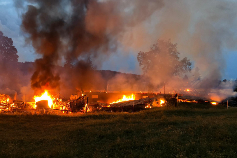 La grange a été détruite par le feu. (Photo: Police cantonale bernoise)