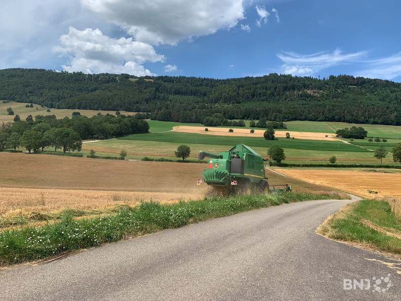 Les agriculteurs récoltent les céréales.