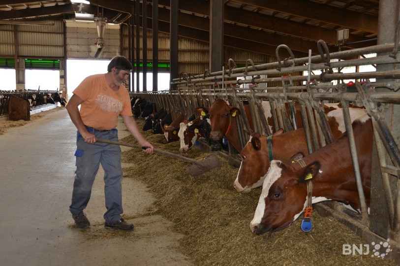 Michel Gatherat a déjà commencé de donner du silo à ses vaches laitières.