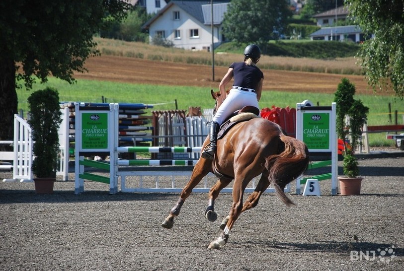 Le paddock de la famille Schneider est animé cette semaine.