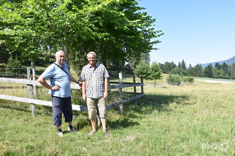 Philippe Fallot (à gauche), chef de projet forêt, nature et paysage à l’Office des ponts et chaussées du canton de Berne, ainsi que Bruno Holenstein, ingénieur forestier mandaté par le canton devant les ormes lisses replantés au premier plan.