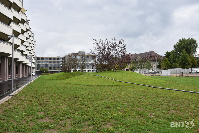 Cinq petites collines ressortent de la pelouse du parc. Elles sont un clin d'œil aux flaques présentes sur l'Espalanade du Palais des Congrès. 
