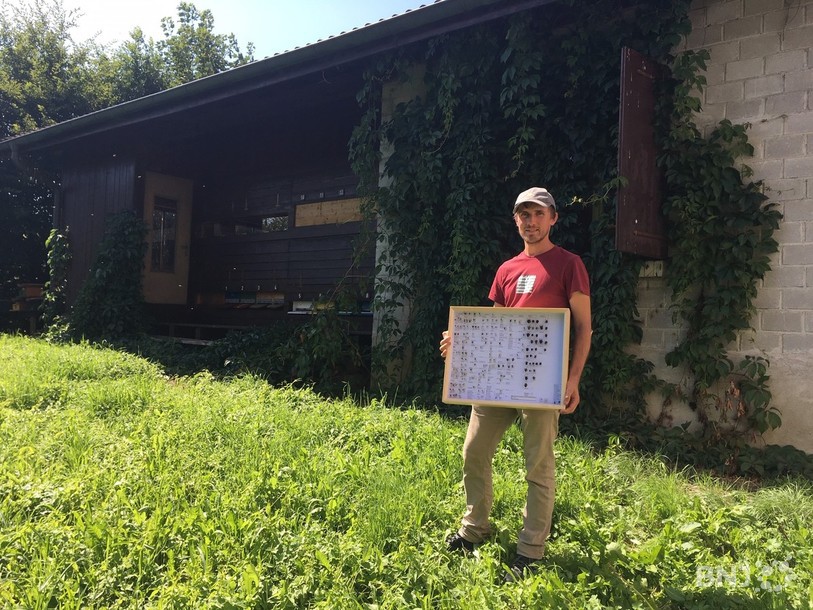Yann-David Varennes, de la FRI, et ses collaborateurs, ont recensé de nombreuses espèces d'abeilles sauvages dans le Jura.