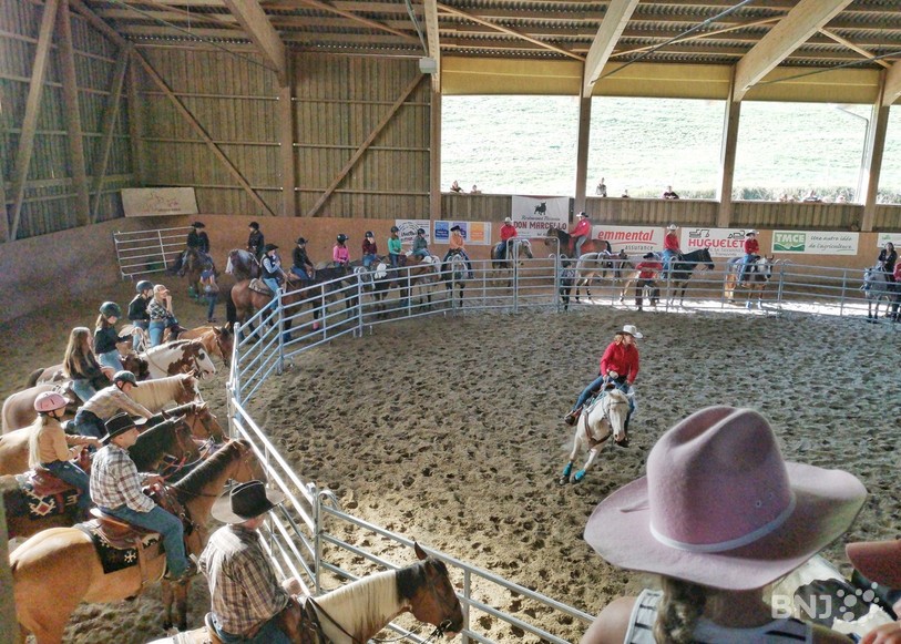 Concentration et observation durant la manche de ranch sorting dimanche matin dans le manège de la Hasler Farm