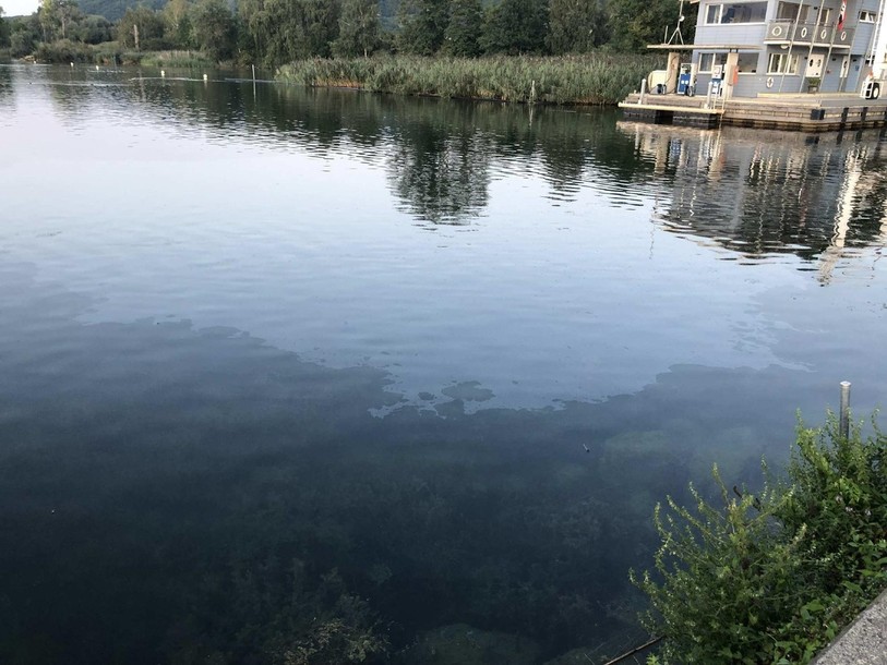 Les traces d'hydrocarbures sont bien visibles au port de Cheyres. (photo: Police cantonale fribourgeoise).