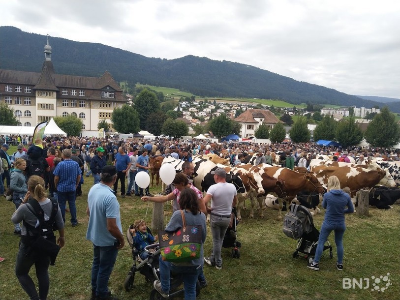 La Foire de Chaindon réunit d'habitude 40'000 visiteurs. Elle n'aura pas lieu cette année. (Photo : archives)