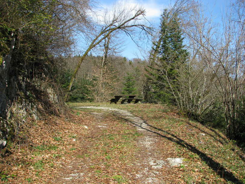 La sécurisation des routes, chemins et sentiers constitue le volet prioritaire de la stratégie du canton du Jura pour affronter la catastrophe forestière (photo : Office de l’environnement).