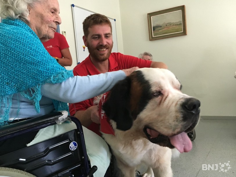 Bernie en compagnie d'une résidente du Foyer pour personnes âgées de St-Ursanne et de son maître Frédéric Haefeli.