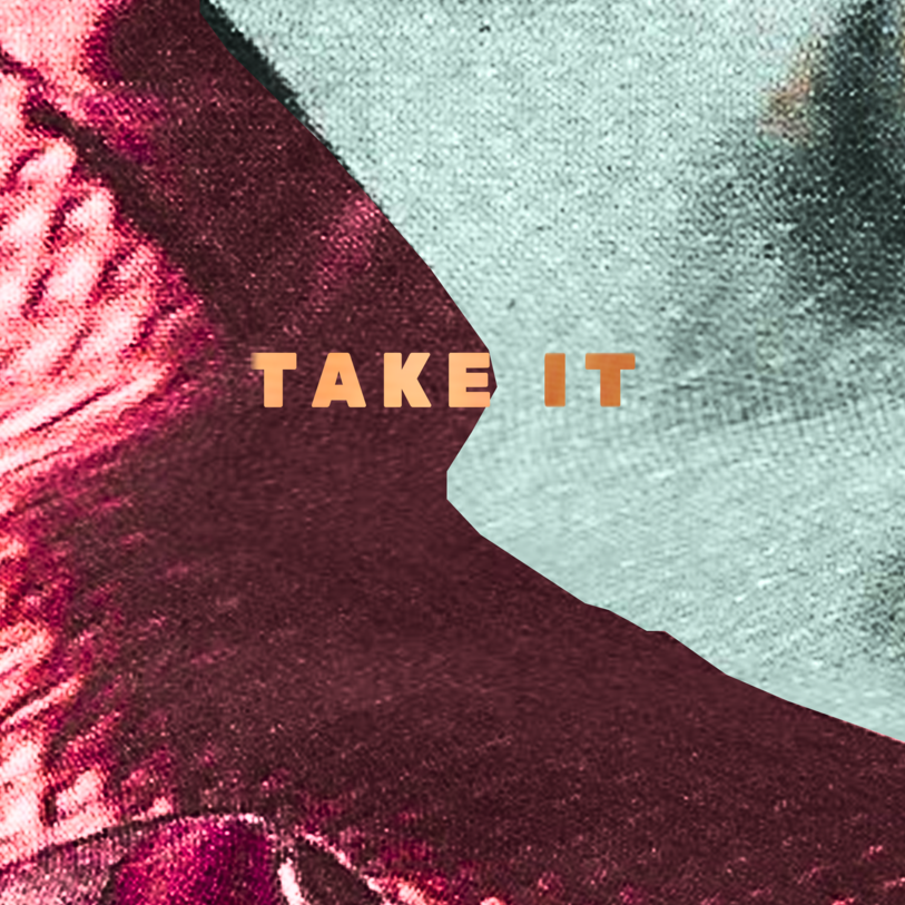 Ash the Ash, Take it (pochette)