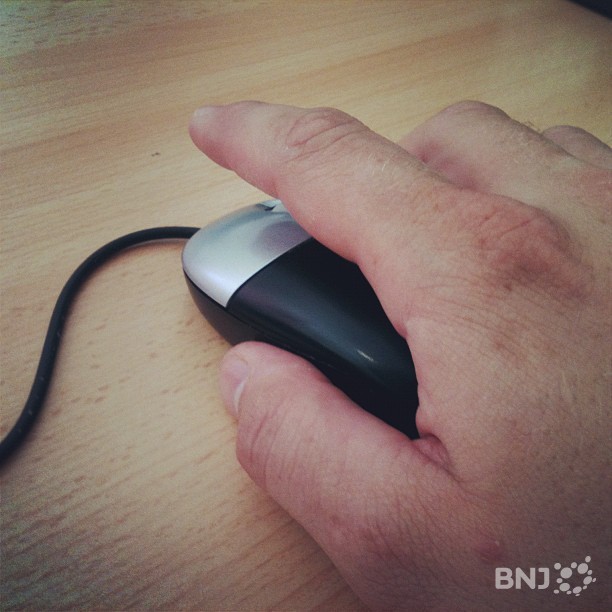 Souris
